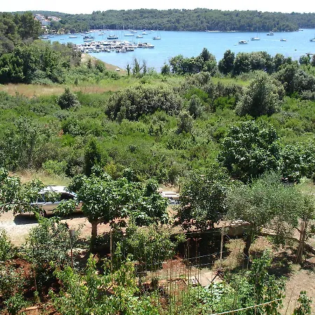 Brko * Μεντουλίν